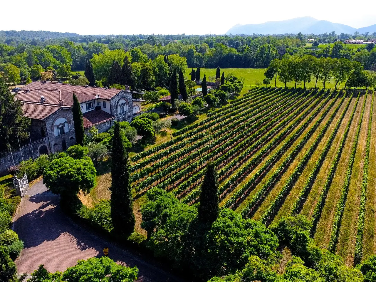 Tenuta Redaelli De Zinis - interni